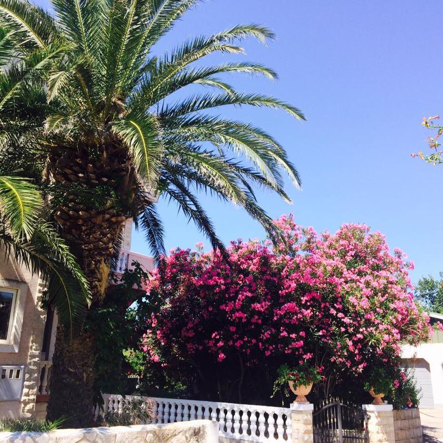Apartments Esperanza Pašman Dış mekan fotoğraf